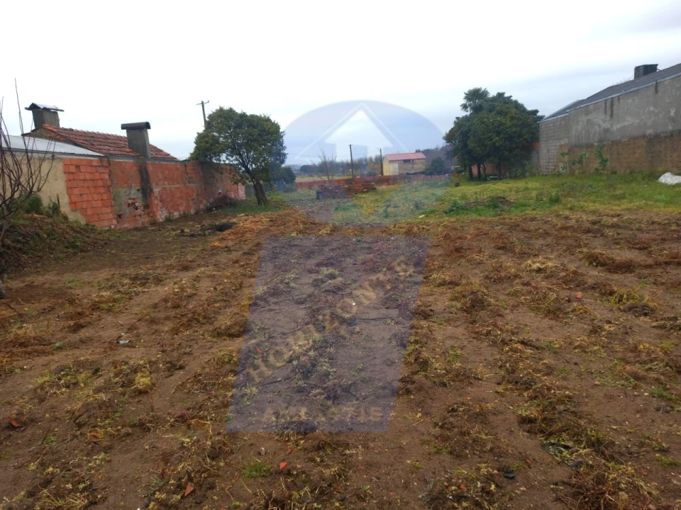 Terreno para Venda em Oiã Foto 2