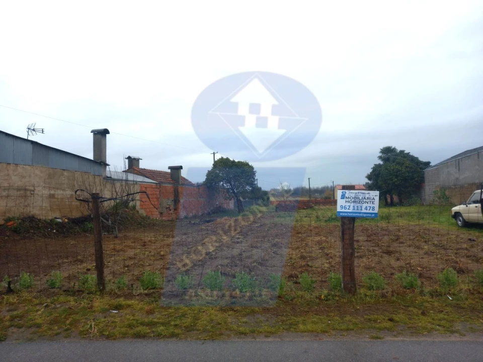 Terreno para Venda em Oiã Foto 5