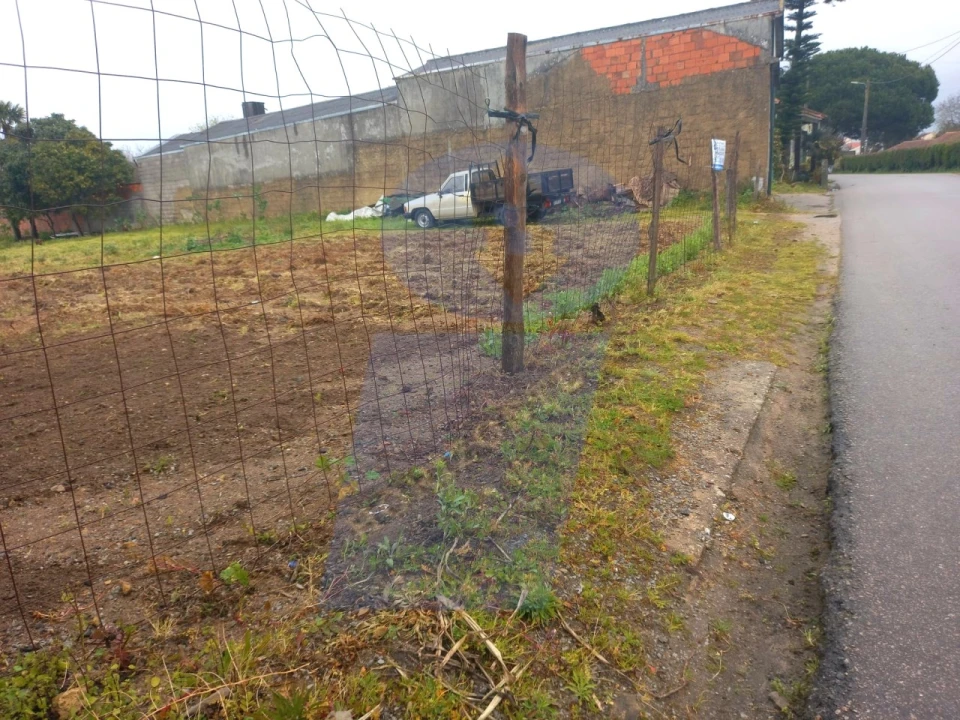 Terreno para Venda em Oiã Foto 1