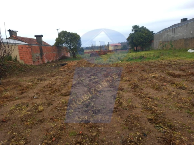 Terreno para Venda em Oiã Foto 2