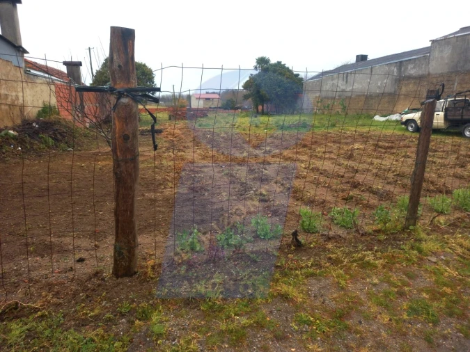 Terreno para Venda em Oiã Foto 3