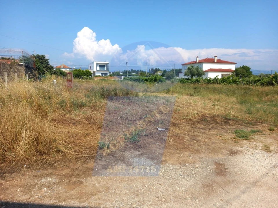 Terreno para Venda em Águeda e Borralha Foto 2