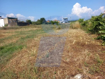 Terreno para Venda em Águeda e Borralha