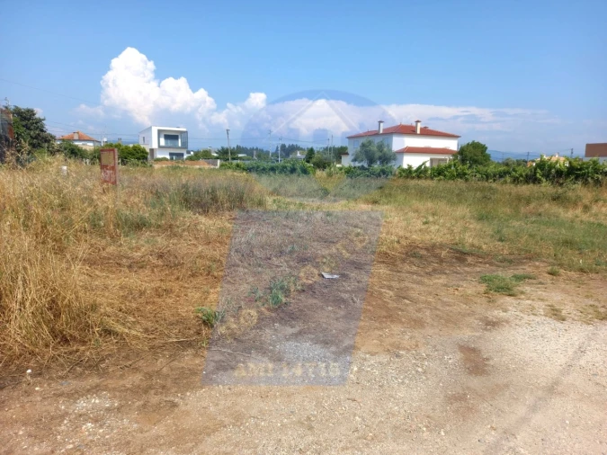 Terreno para Venda em Águeda e Borralha