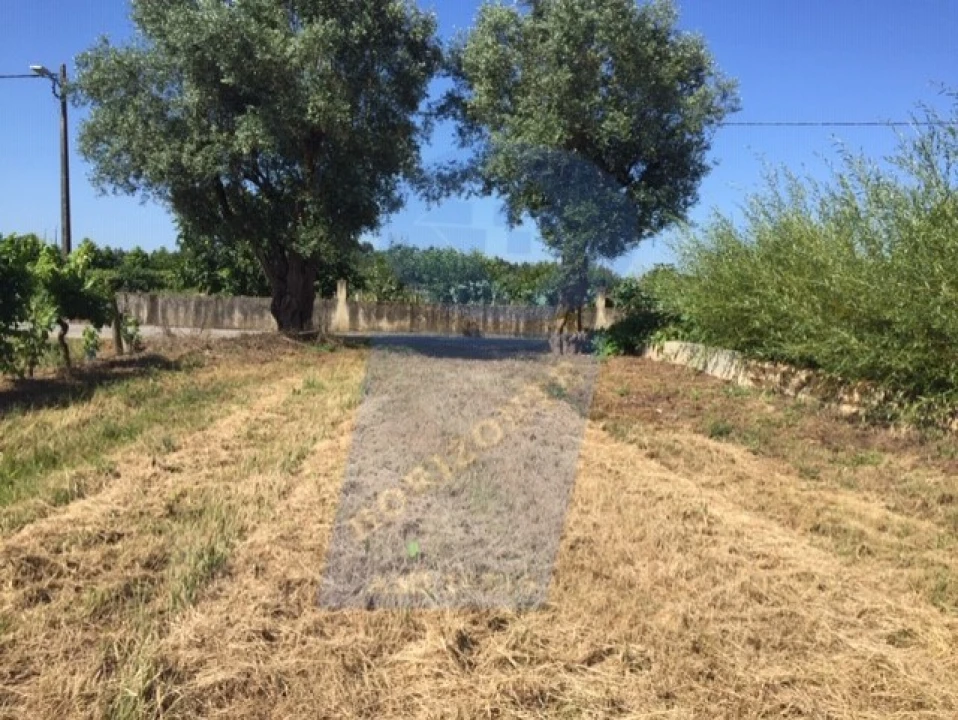 Terreno para Venda em Arcos e Mogofores Foto 1