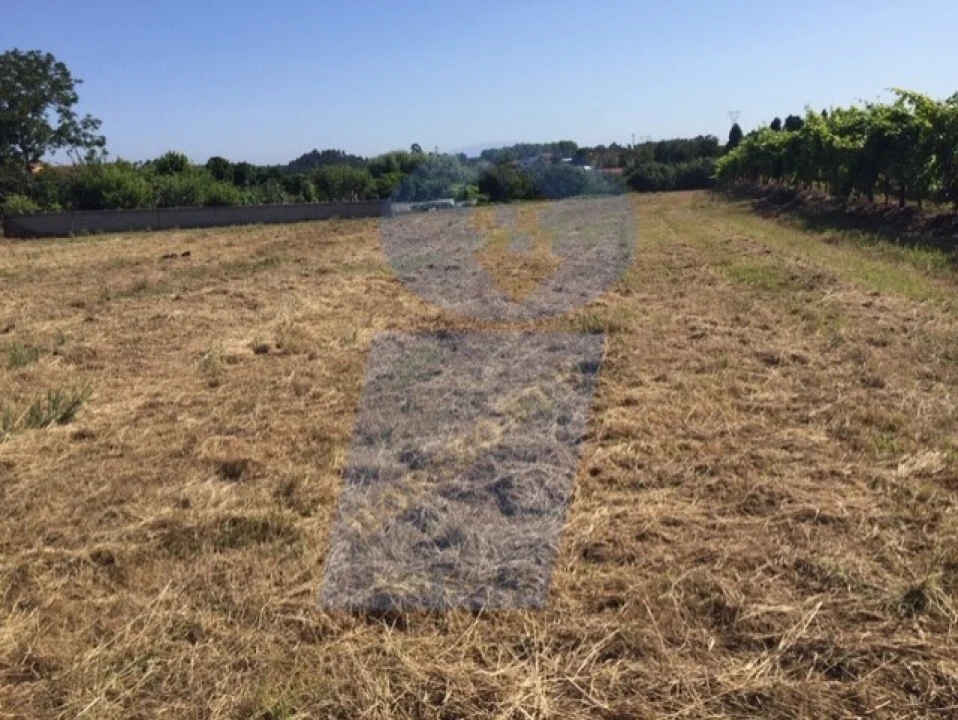 Terreno para Venda em Arcos e Mogofores Foto 2