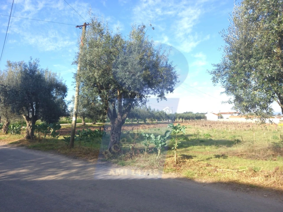 Terreno para Venda em Arcos e Mogofores Foto 6