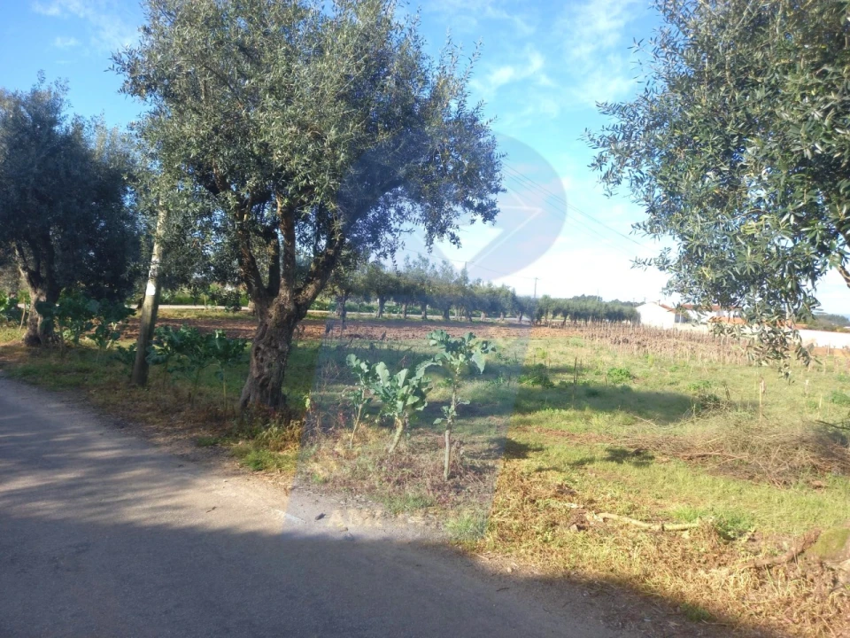 Terreno para Venda em Arcos e Mogofores Foto 7