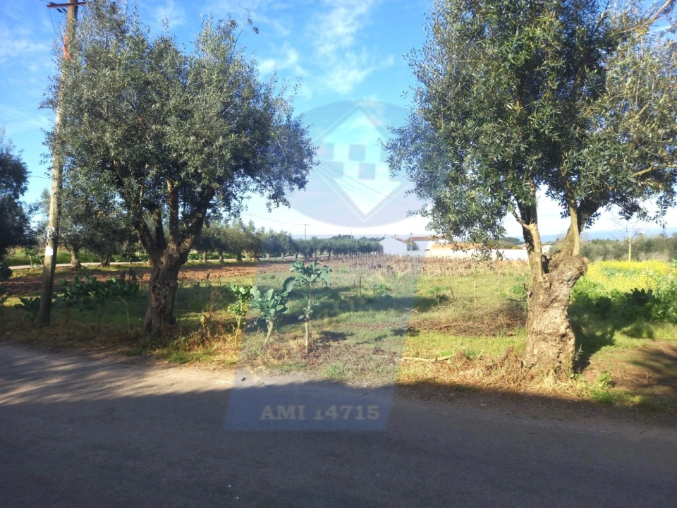 Terreno para Venda em Arcos e Mogofores Foto 8