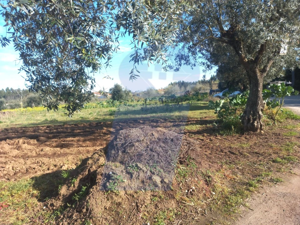 Terreno para Venda em Arcos e Mogofores Foto 9