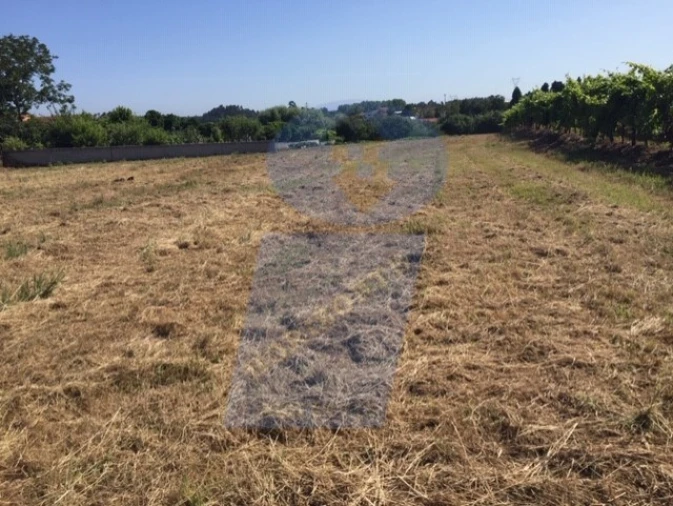 Terreno para Venda em Arcos e Mogofores Foto 2