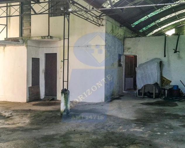 Moradia T3 para Venda em Amoreira da Gândara, Paredes do Bairro e Ancas Foto 11