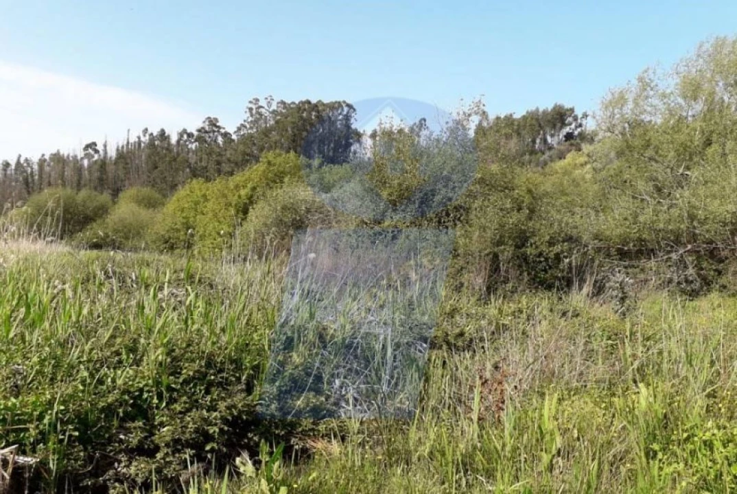 Terreno para Venda em Ouca Foto 2
