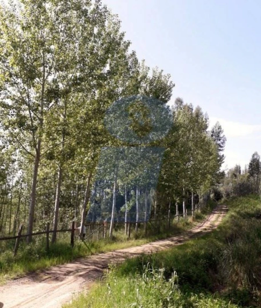 Terreno para Venda em Ouca Foto 1