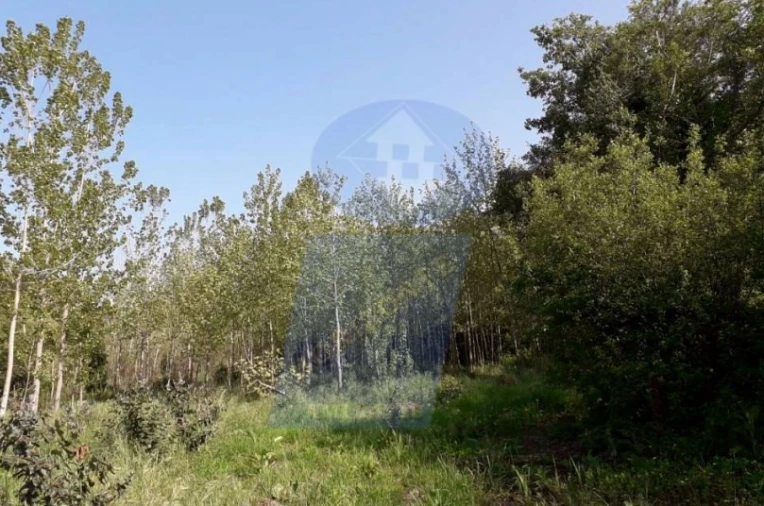 Terreno para Venda em Ouca Foto 3