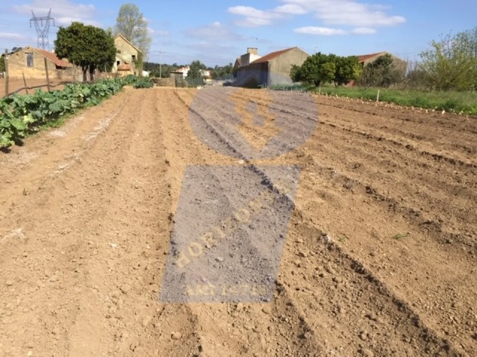 Terreno para Venda em Amoreira da Gândara, Paredes do Bairro e Ancas Foto 4