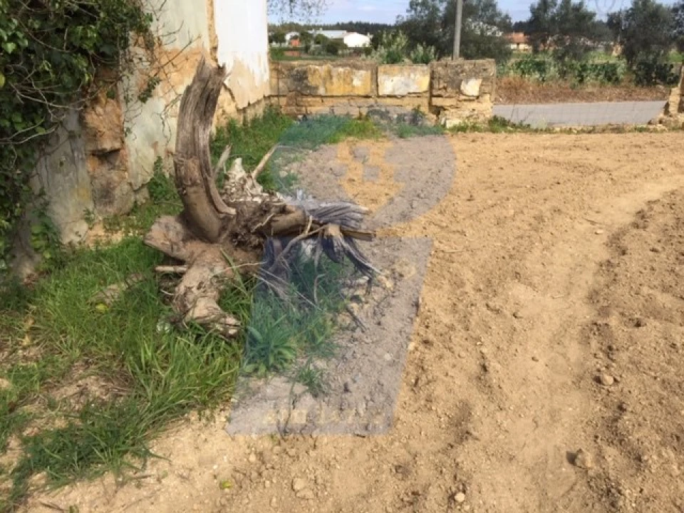 Terreno para Venda em Amoreira da Gândara, Paredes do Bairro e Ancas Foto 2
