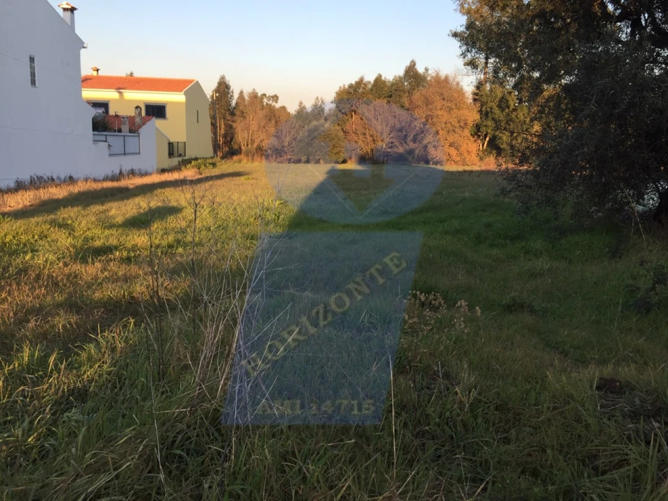 Terreno Agricola ou Rústico para Venda em Oliveira do Bairro Foto 1