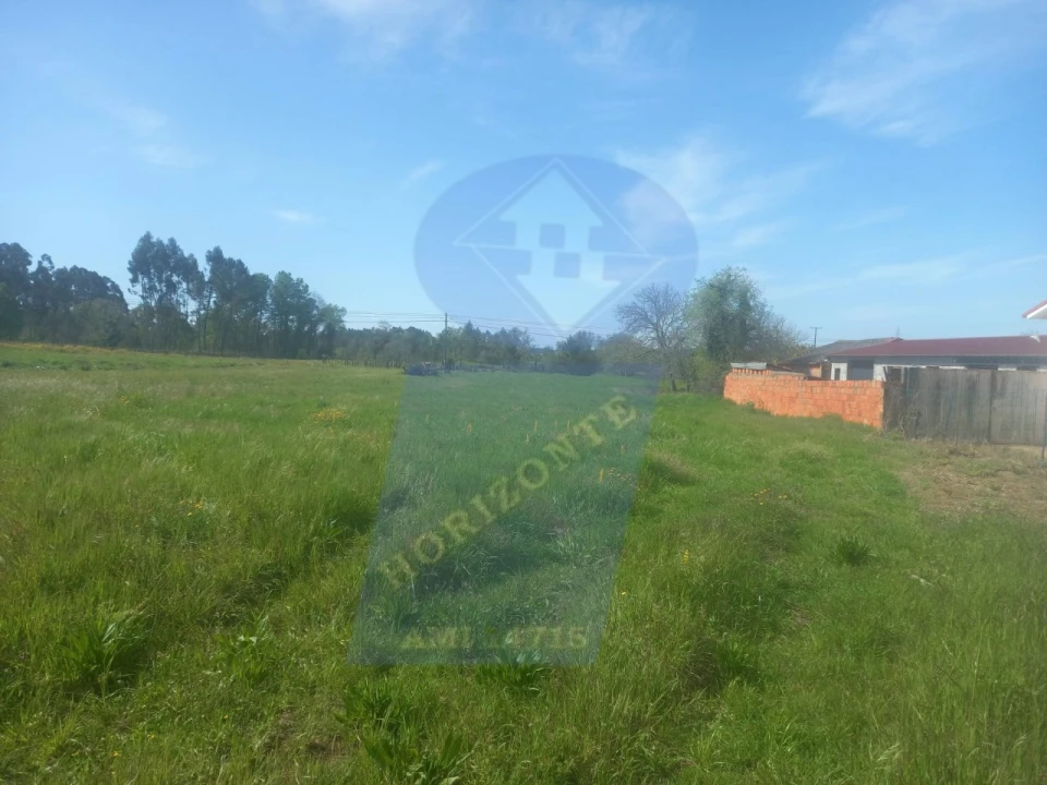 Terreno para Venda em Amoreira da Gândara, Paredes do Bairro e Ancas Foto 4