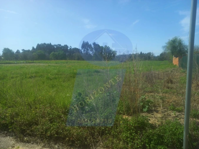 Terreno para Venda em Amoreira da Gândara, Paredes do Bairro e Ancas Foto 3