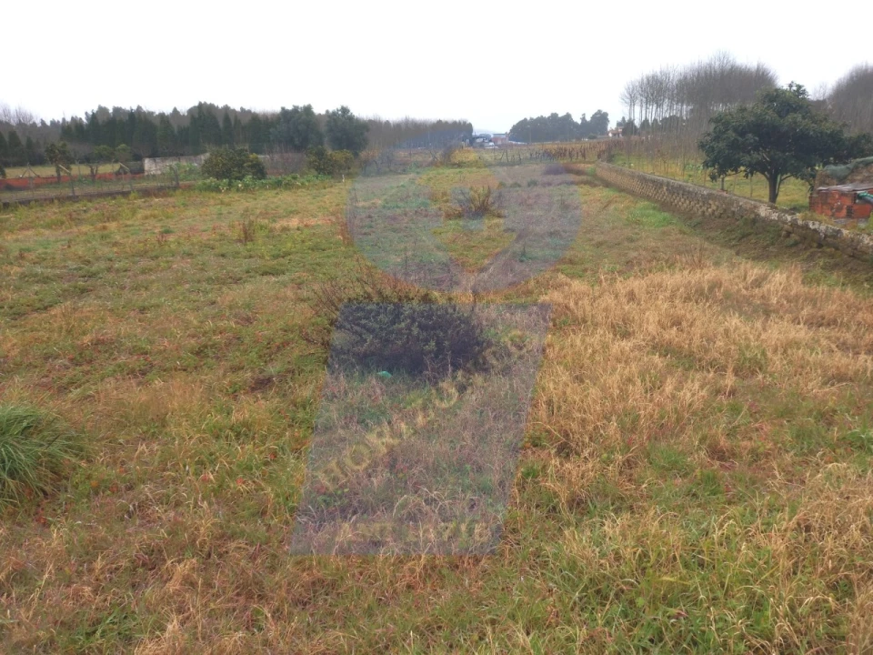 Terreno para Venda em Bustos, Troviscal e Mamarrosa Foto 3