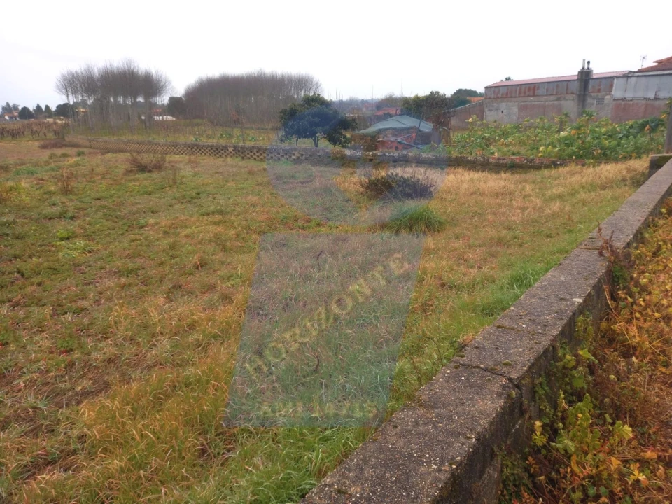 Terreno para Venda em Bustos, Troviscal e Mamarrosa Foto 4