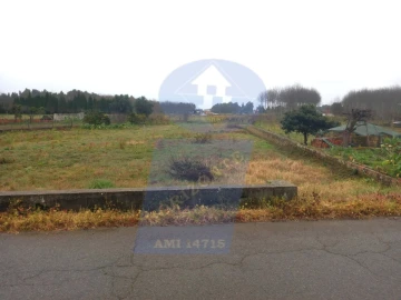 Terreno para Venda em Bustos, Troviscal e Mamarrosa
