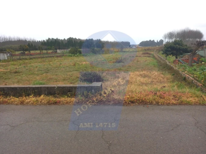 Terreno para Venda em Bustos, Troviscal e Mamarrosa Foto 2