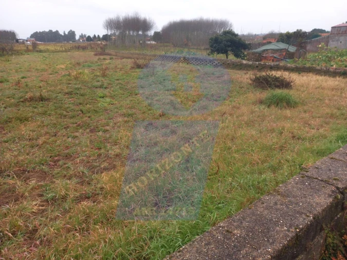 Terreno para Venda em Bustos, Troviscal e Mamarrosa Foto 5