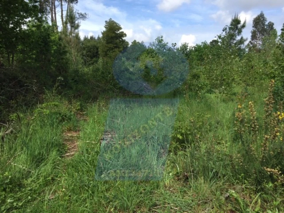 Terreno para Venda em Palhaça Foto 4