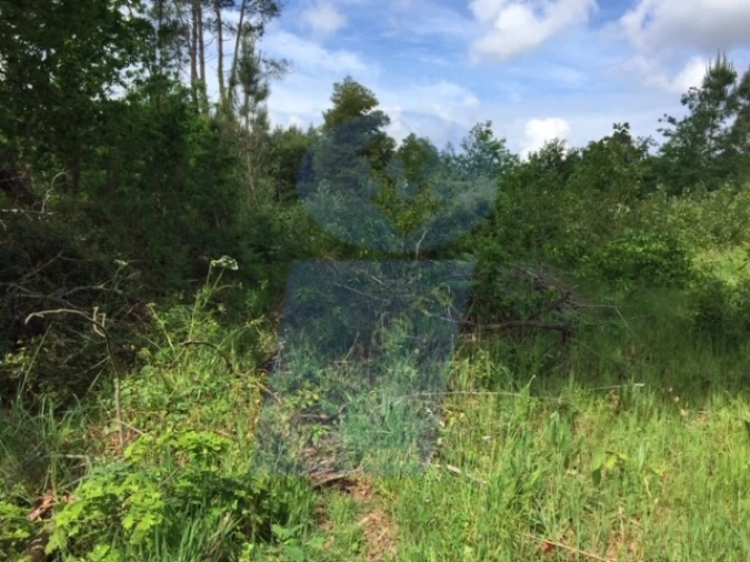 Terreno para Venda em Palhaça