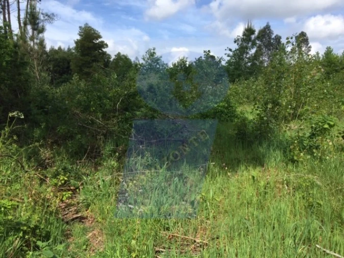 Terreno para Venda em Palhaça Foto 2