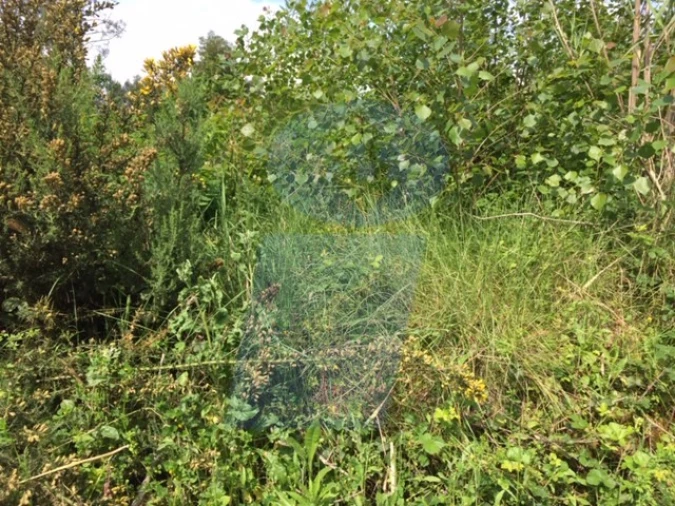 Terreno para Venda em Palhaça Foto 3