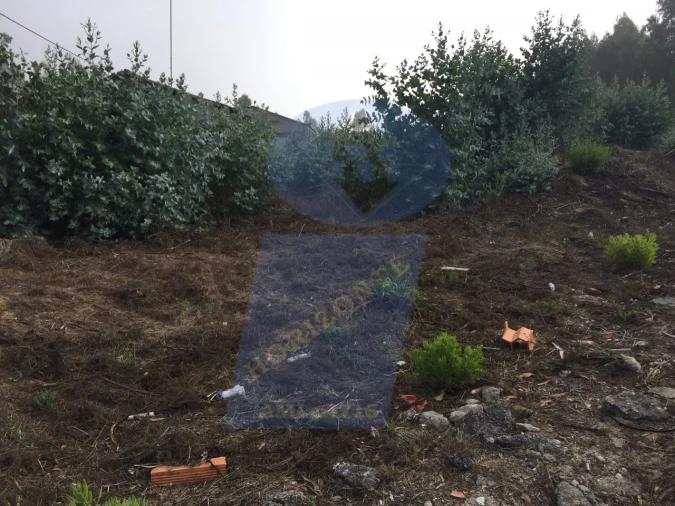 Terreno para Venda em Bustos, Troviscal e Mamarrosa Foto 1