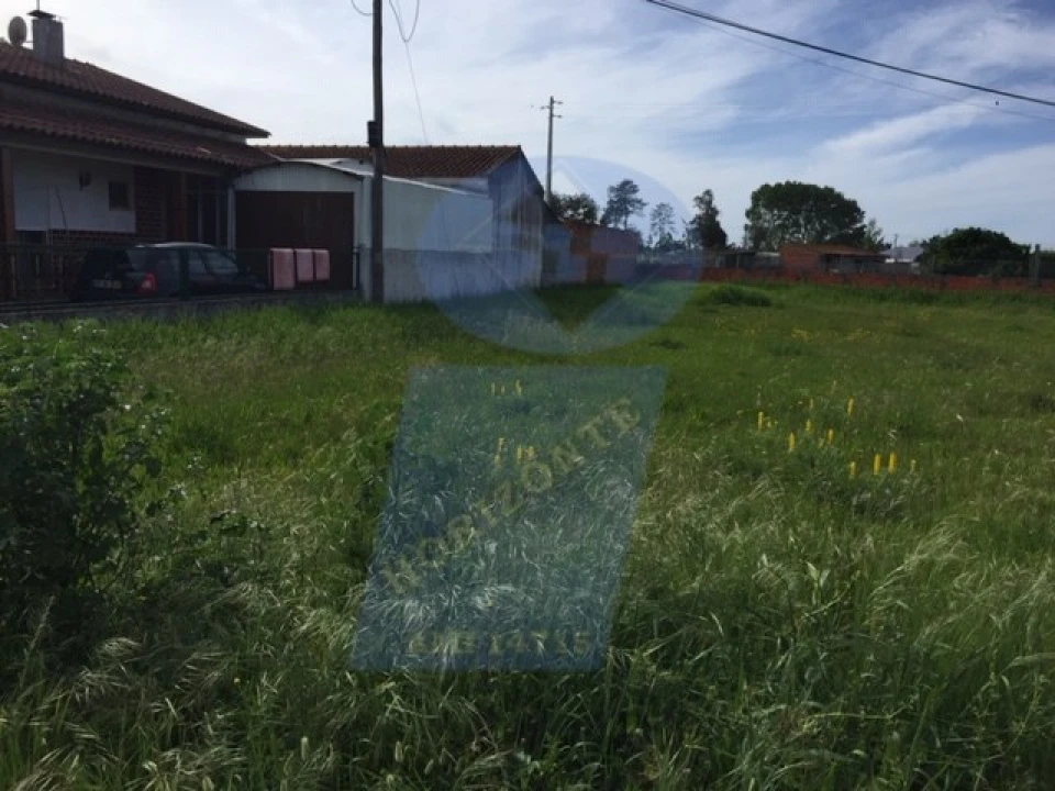 Terreno para Venda em Santo Andre de Vagos Foto 4