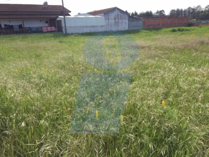 Terreno para Venda em Santo Andre de Vagos Foto 2