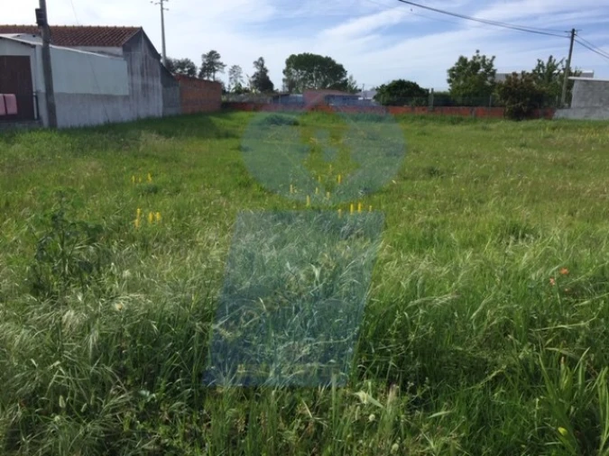 Terreno para Venda em Santo Andre de Vagos Foto 1