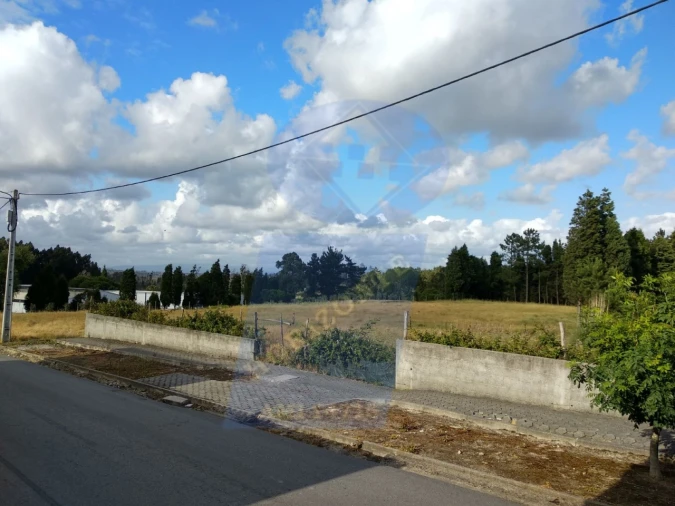 Terreno para Venda em Requeixo, Nossa Senhora de Fátima e Nariz Foto 2