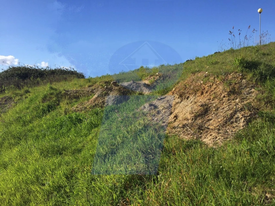 Terreno para Venda em Oliveira do Bairro Foto 1