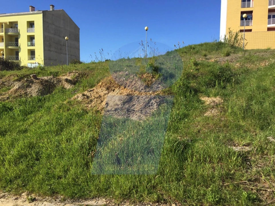 Terreno para Venda em Oliveira do Bairro Foto 4
