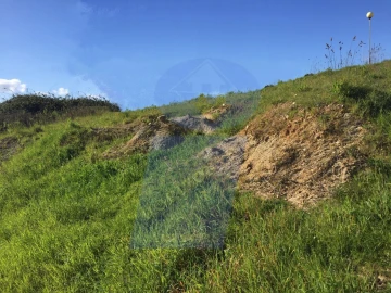Terreno para Venda em Oliveira do Bairro