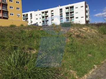 Terreno para Venda em Oliveira do Bairro