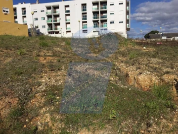Terreno para Venda em Oliveira do Bairro