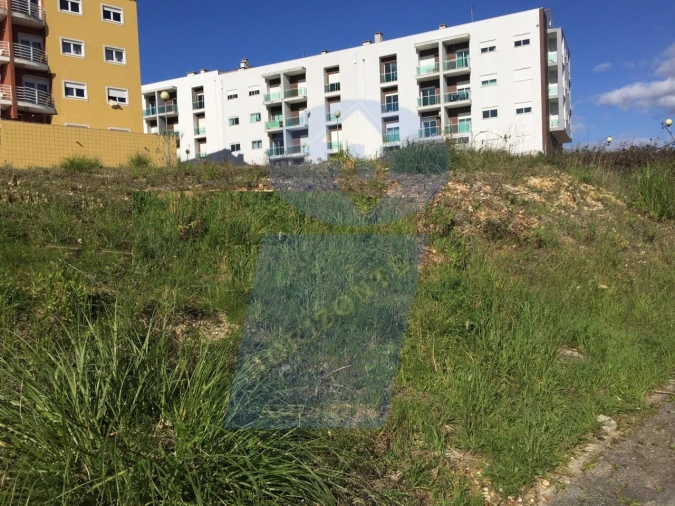 Terreno para Venda em Oliveira do Bairro Foto 2