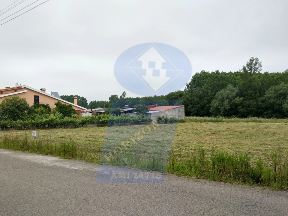 Terreno para Venda em Oliveira do Bairro Foto 2