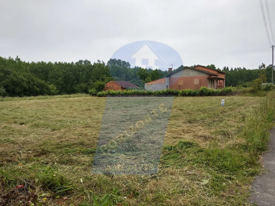 Terreno para Venda em Oliveira do Bairro Foto 1