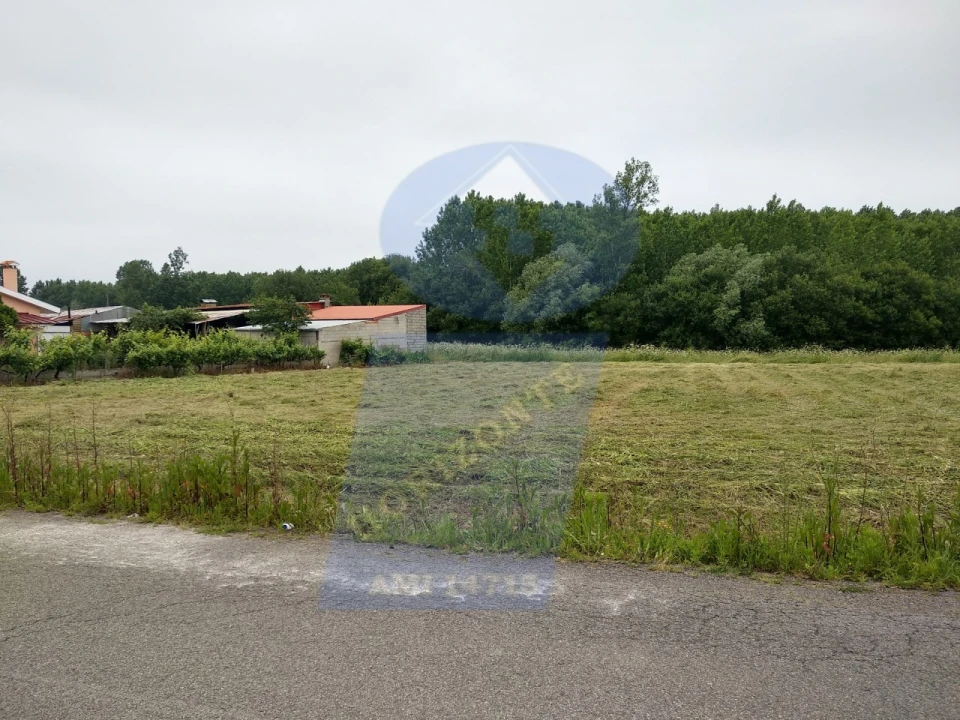 Terreno para Venda em Oliveira do Bairro Foto 4