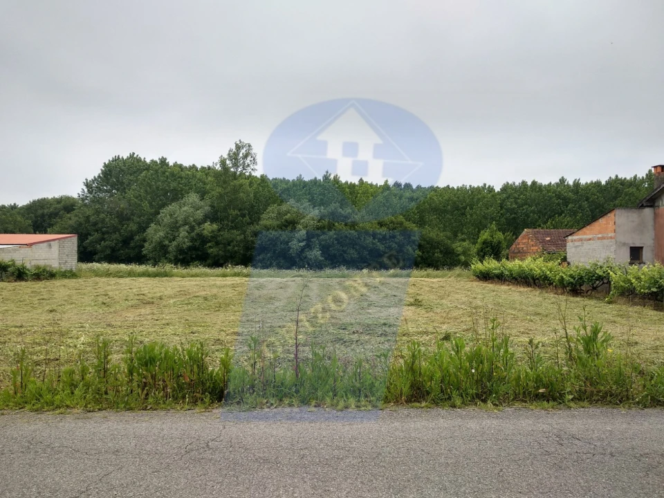 Terreno para Venda em Oliveira do Bairro Foto 5