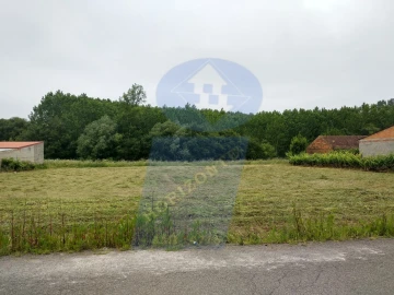 Terreno para Venda em Oliveira do Bairro