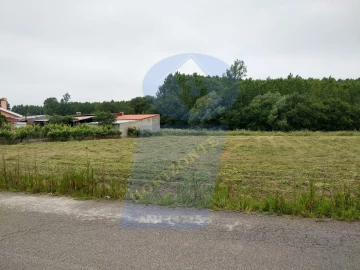 Terreno para Venda em Oliveira do Bairro
